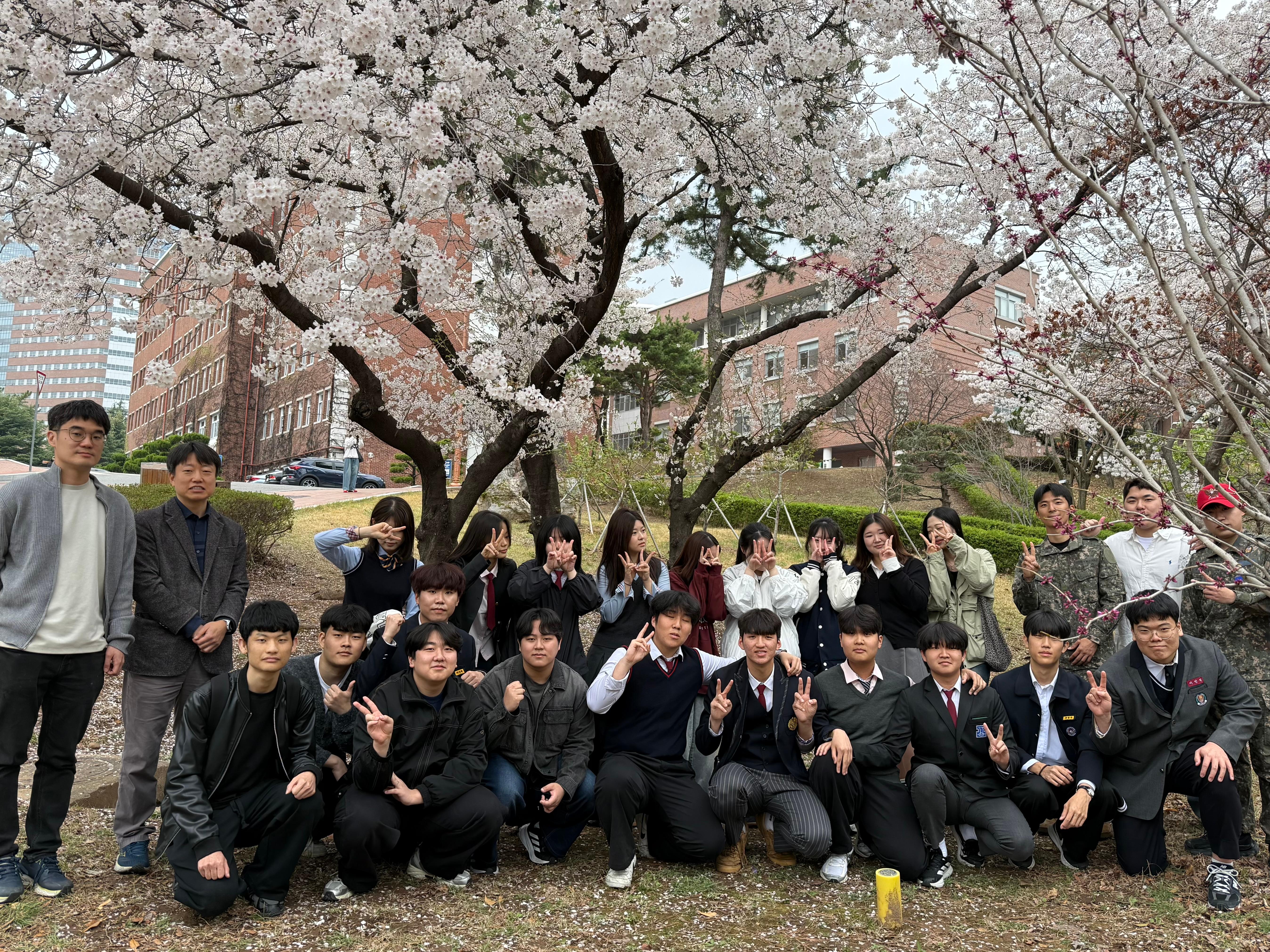 벚꽃사진